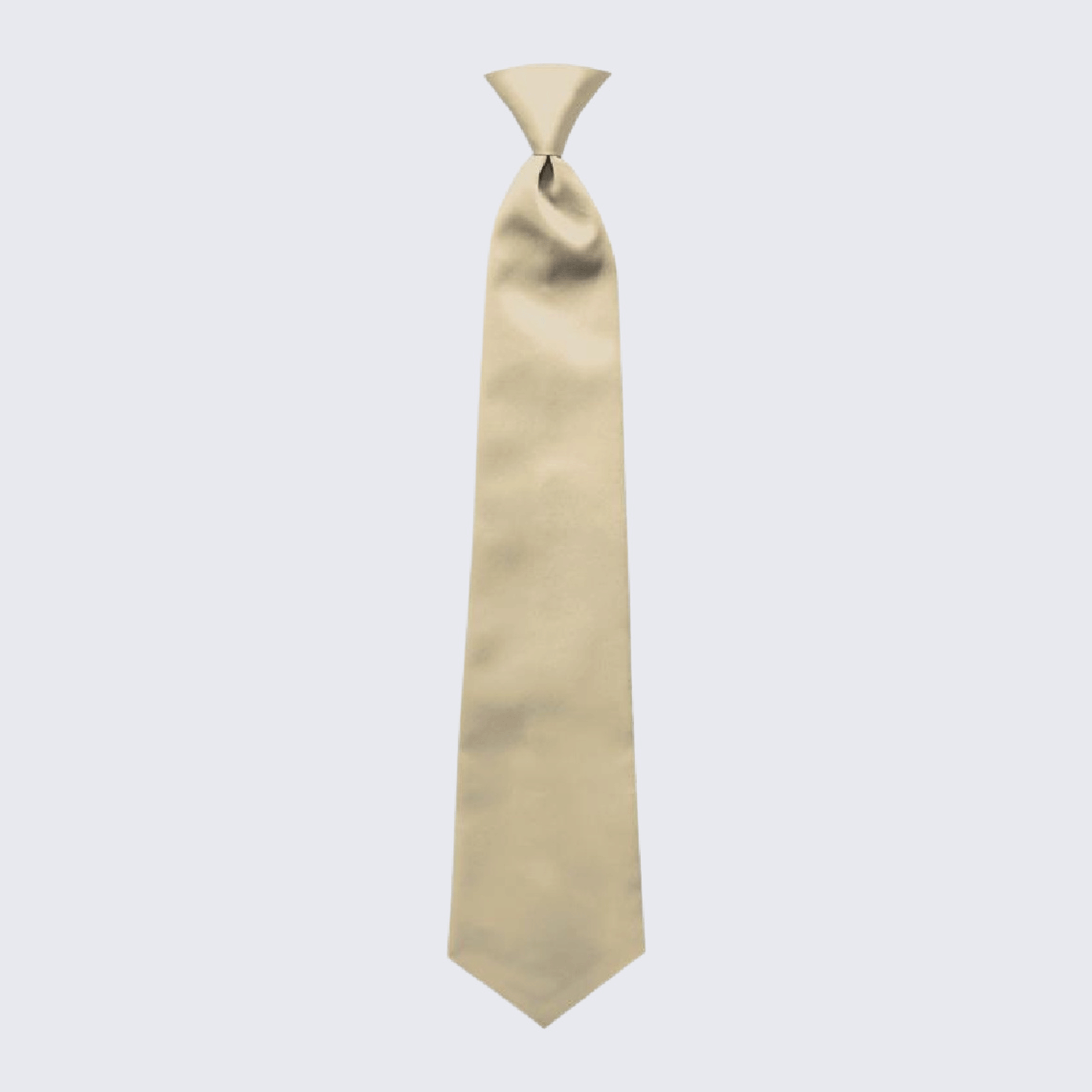 Boy's Satin Champagne Pre-Tied Tie for Kids Teen Children - Wedding